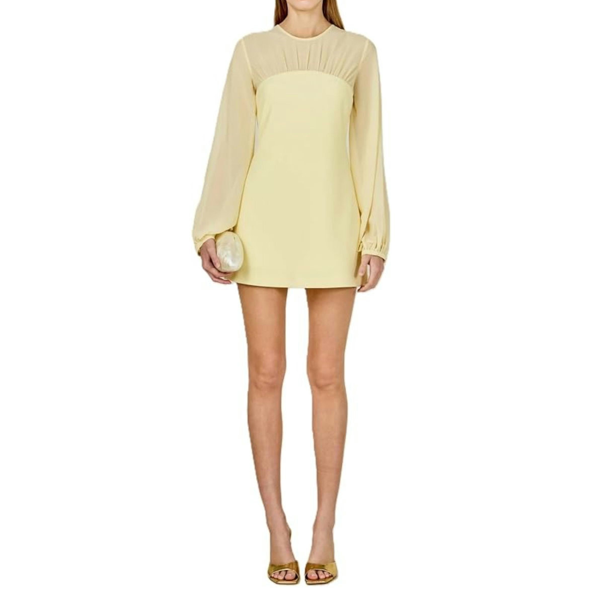 Endless Rose Puff Sleeve Mini Dress